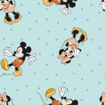 Mickey & Minnie